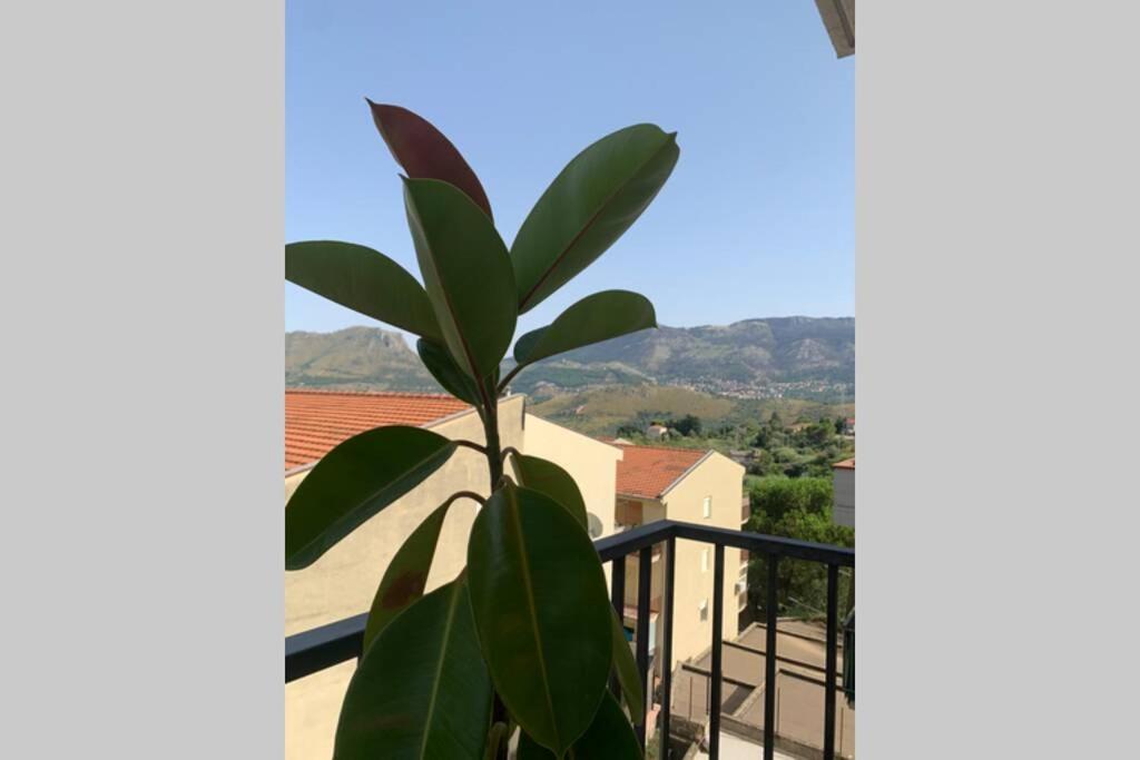 Casa Vacanza - I Mulini Con Parcheggio Gratuito Incluso. Monreale Zewnętrze zdjęcie